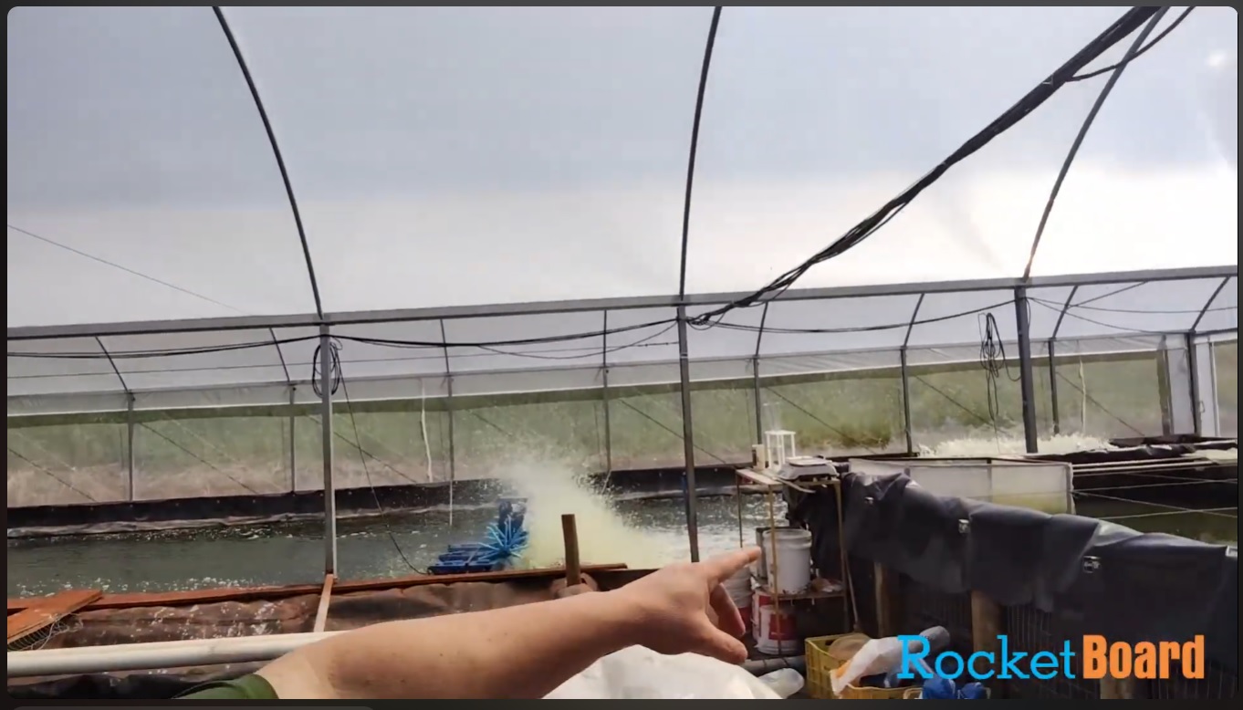 RocketBoard em Sistema de Estufa